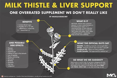Milk thistle supplements, for reference, are tolerated at doses of up to 700 mg, 3 times per day for 24 weeks (1). . Milk thistle during steroid cycle